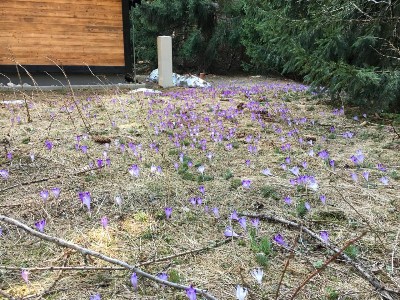 Chalet Rackova Dolina Pribylina Εξωτερικό φωτογραφία