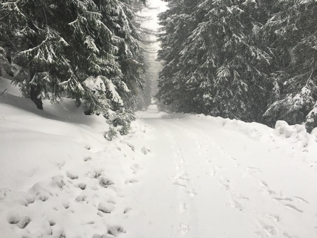 Chalet Rackova Dolina Pribylina Εξωτερικό φωτογραφία