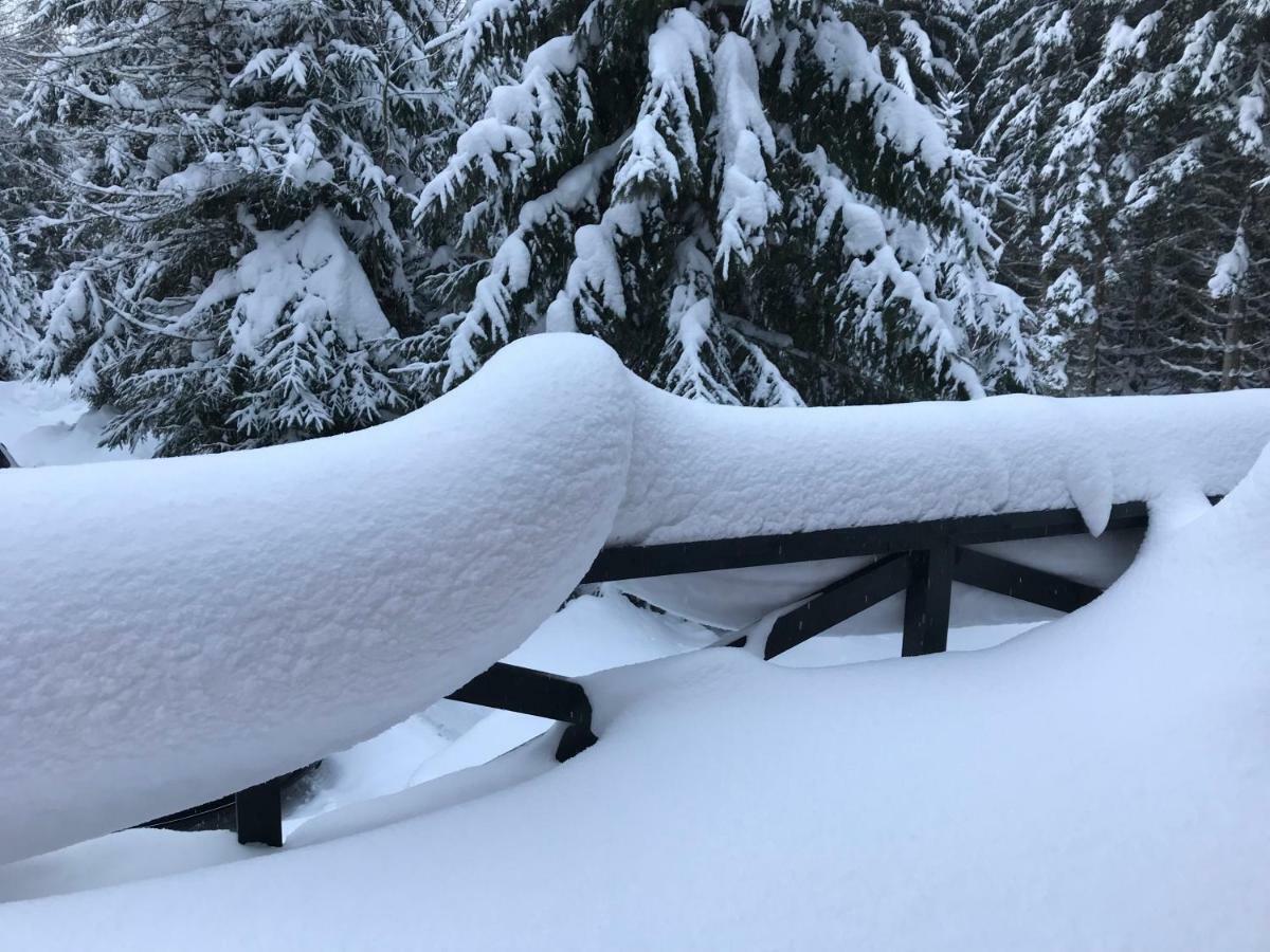 Chalet Rackova Dolina Pribylina Εξωτερικό φωτογραφία
